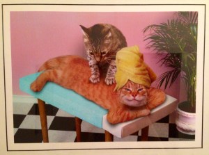 This was a gift from mom, hanging proudly in my bathroom. 